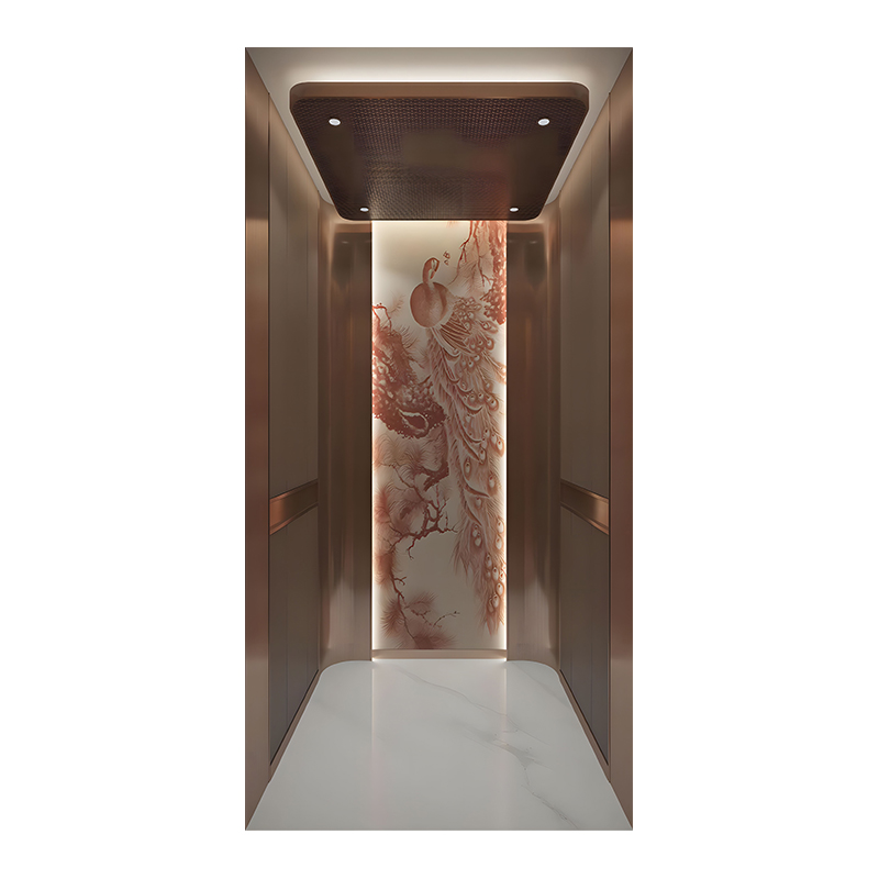  Electric Passenger Lift 